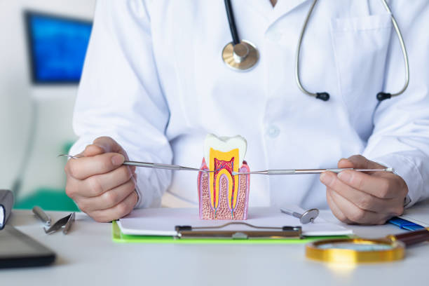 Best Broken or Cracked Tooth Emergency Dentist in North Bend, WA